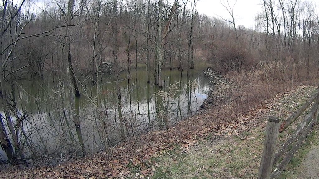 Beaver Dam: Rising&nbsp;Water