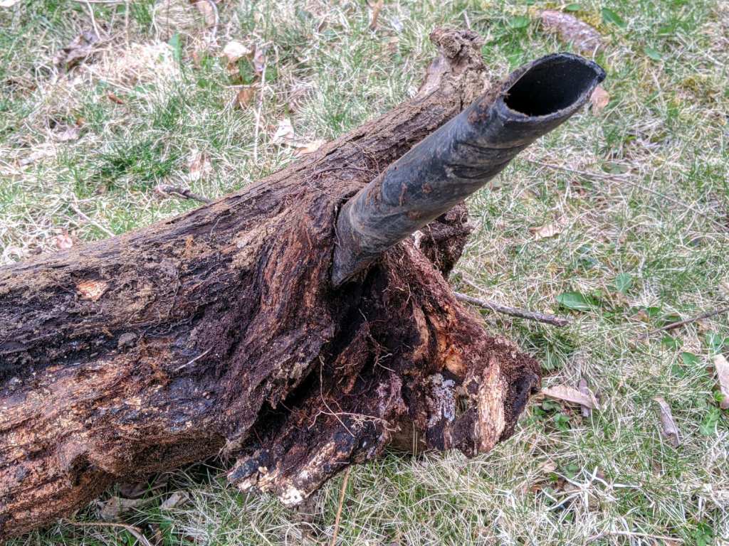 Clearing the Overgrowth