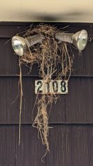 Robin Nest: Construction