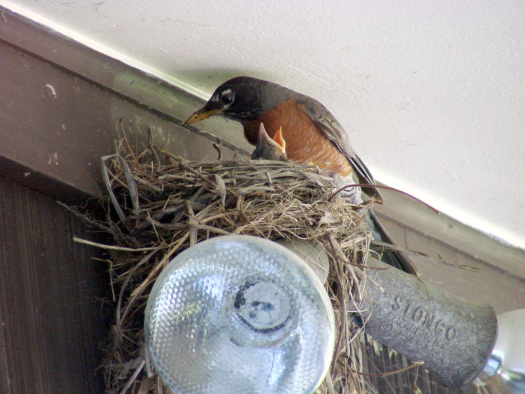 JPG Recovery From a Camera FAT&nbsp;Filesystem