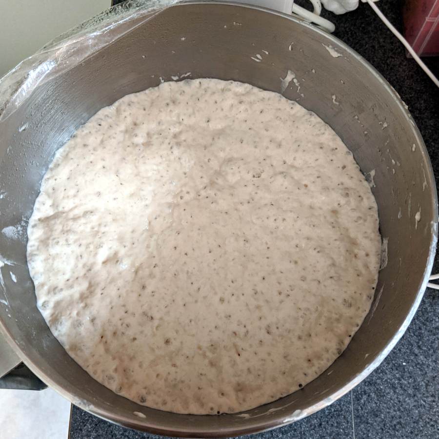 No-knead bread - 18 hour rise