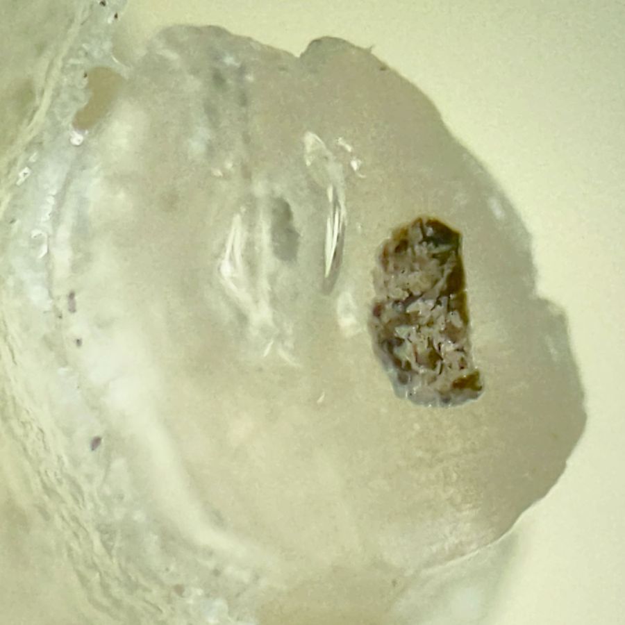 Extruder Clog - PETG inclusion - section L