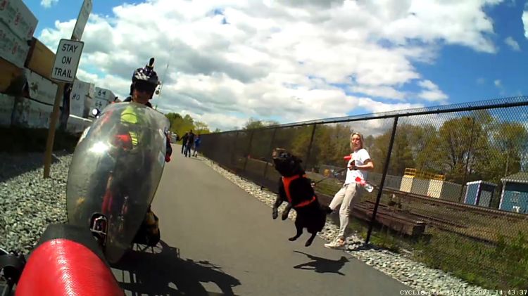 Empire State Trail - Dog Lunge - 2021-05-12 - 7