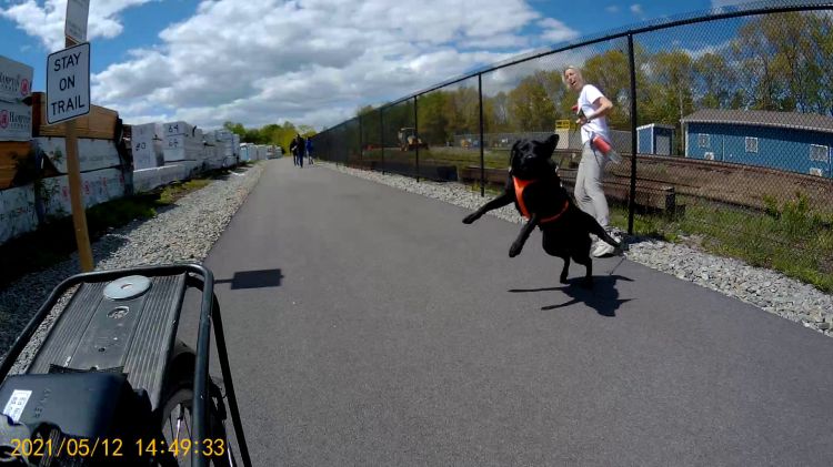 Empire State Trail - Dog Lunge - 2021-05-12 - 8