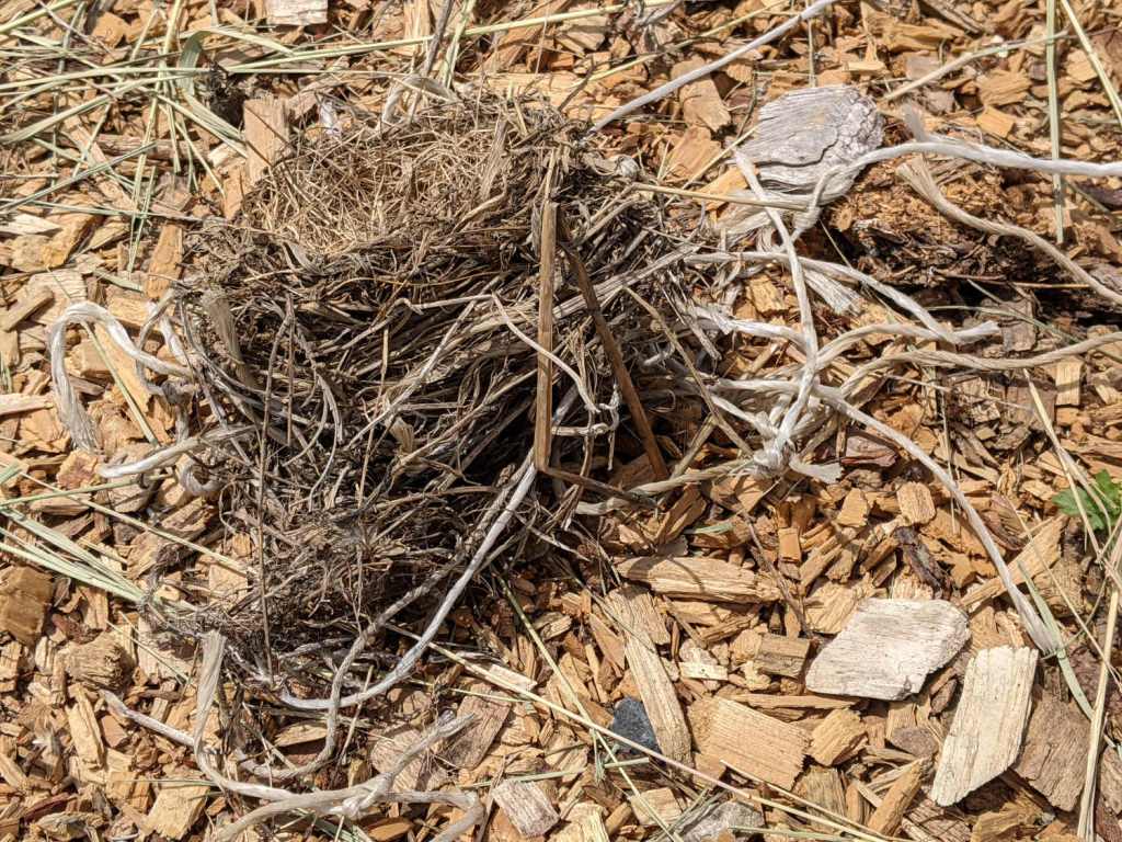Bird Nest Material: Plastic&nbsp;String
