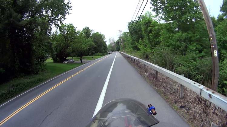 Rt 376 Knotweed - defoliation near Maloney - 2021-05-23