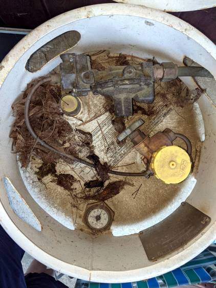 Carolina Wren - nest started atop propane tank