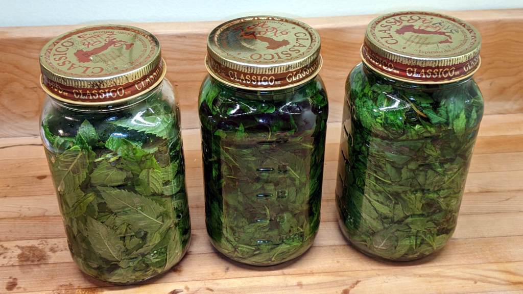Homebrew Mint Extract