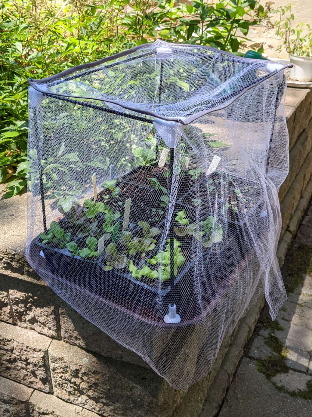 Seedling Shelter Frame&nbsp;Deployment