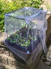 Seedling Shelter Frame&nbsp;Deployment
