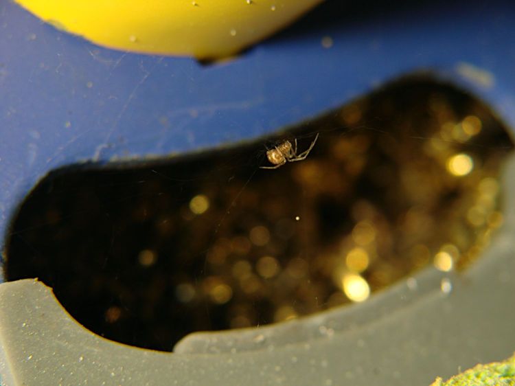 Soldering Iron Spider - detail