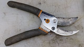 Fiskars Bypass Pruner&nbsp;Rehabilitation