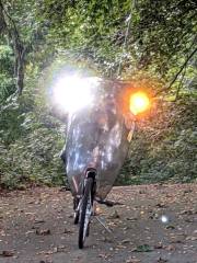 Tour Easy 1 W Amber Running Light: Holder and First Light