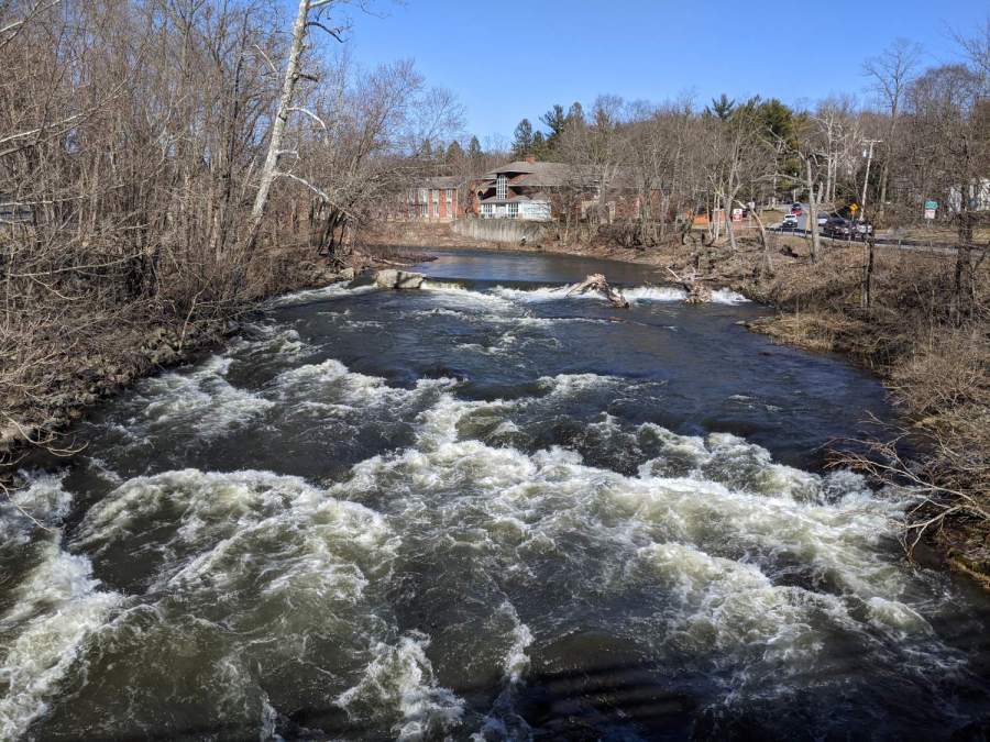 Red Oaks Mill Dam - 2021-03-19