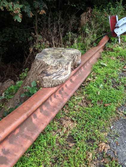 Tree stump around guide rail