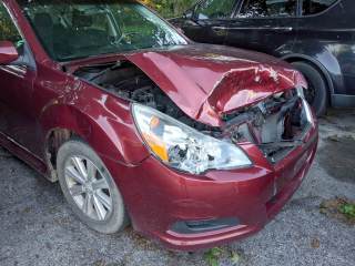 Too Many Deer: Another One Bites the&nbsp;Dust