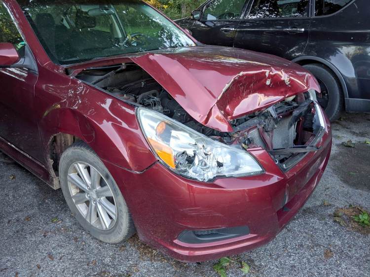 Deer Collision - front end damage