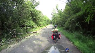 Rail Trail: Fallen Tree&nbsp;Clearing