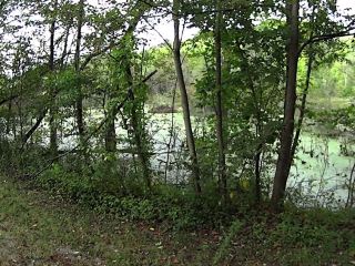 Beaver Lodge II