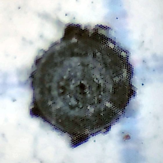 HP 09872-60066 Digitizing Sights - new detail