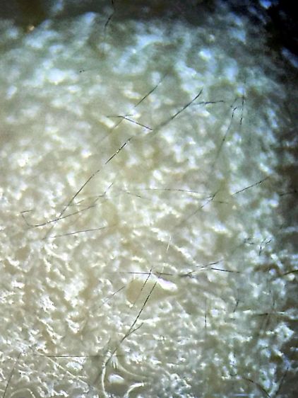 Kodak 750H Projector - tin whiskers - detail