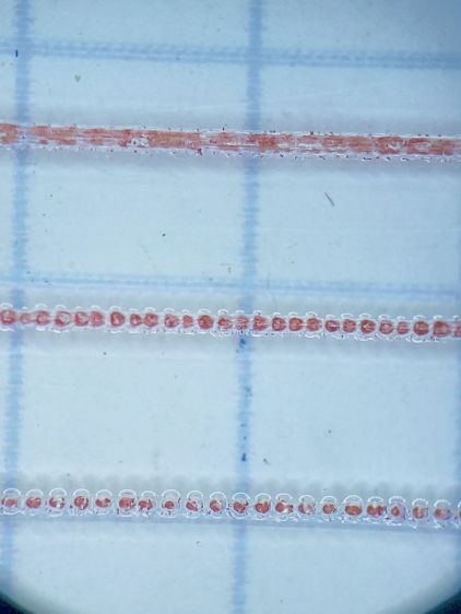 Tek CC Cursor - dot mode 1ms 20pct