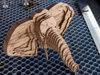 3D Elephant Head