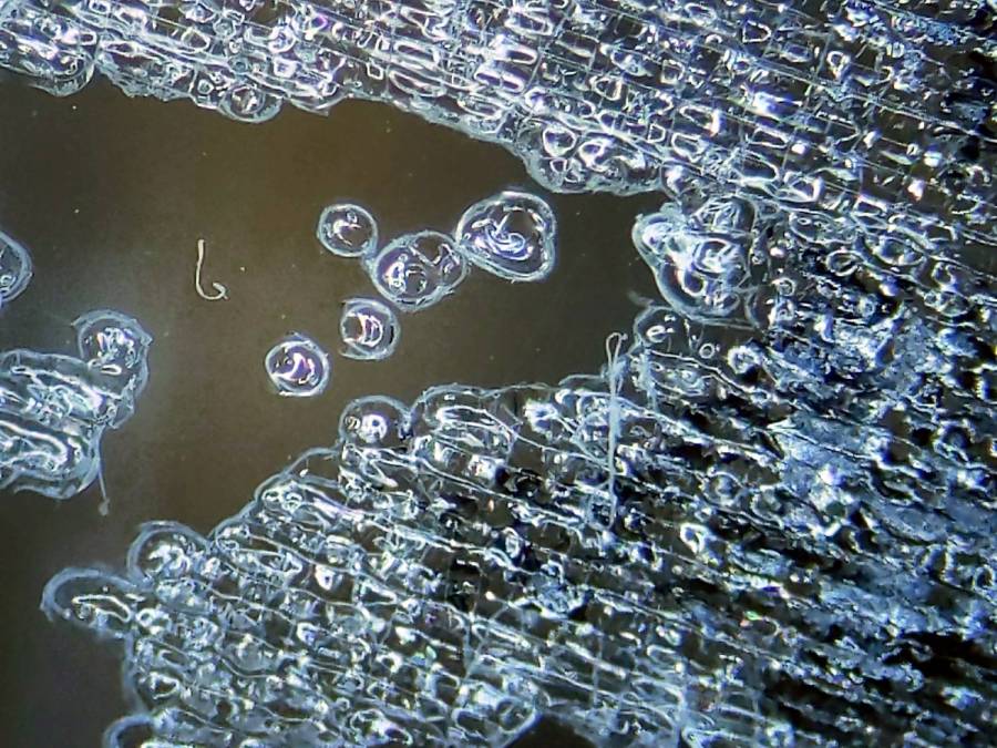 Glass engraving - TiO2 detail