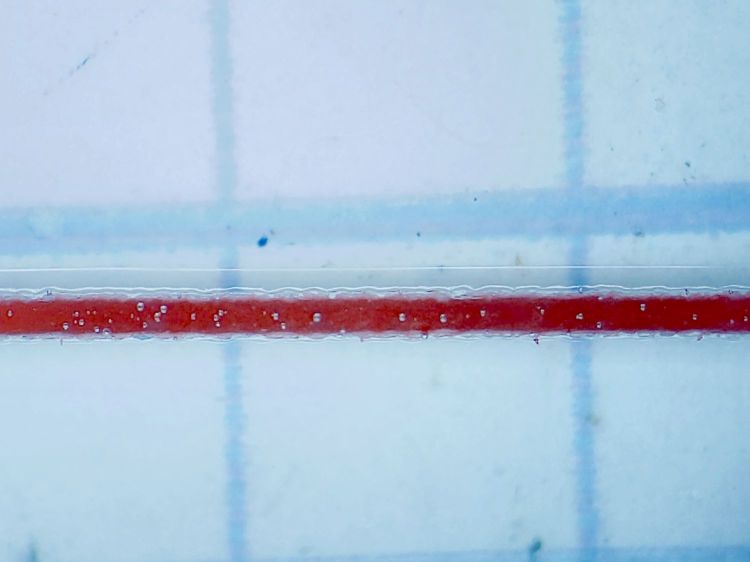 Tek CC - Painted Hairline - detail