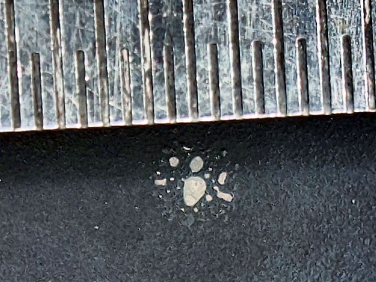 Gentec ED-200 surface damage