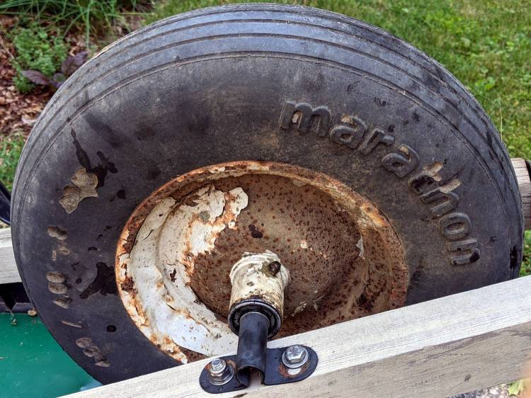 Wheelbarrow Wheel - transplanted