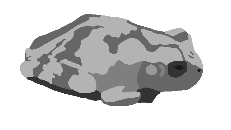 Tree Frog Marquetry: FAIL