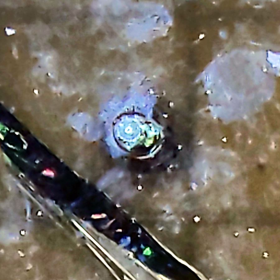 Laser vs sunglasses - focused rear