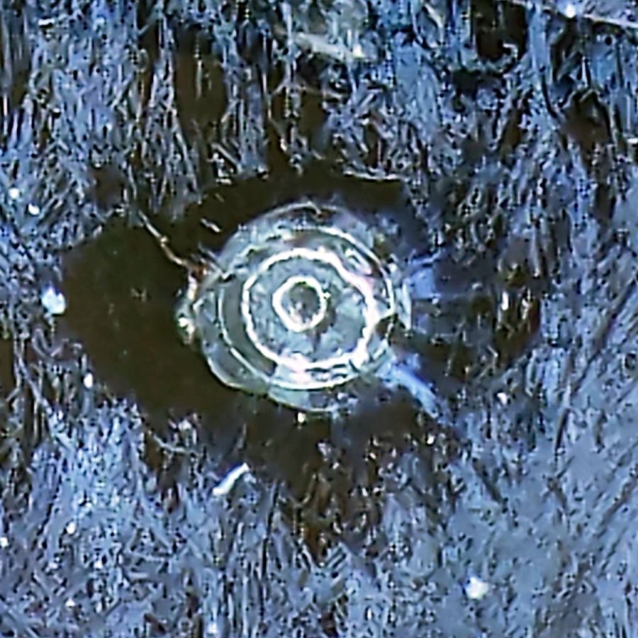 Laser vs sunglasses - focused front