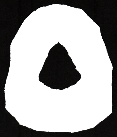 Mask liner - scanned