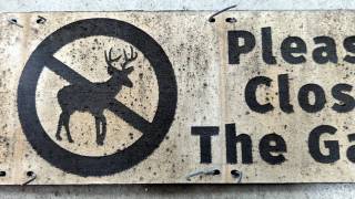 Please Close The Gate Signs: MDF Weathering