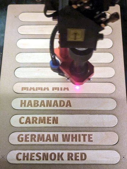 Craft Stick Markers - engraving