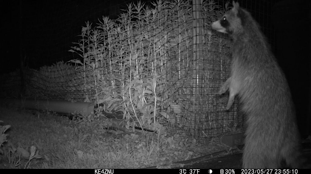 Going About Their Daily&nbsp;Affairs