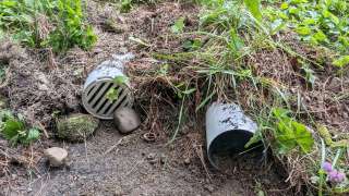 Chipmunk Refuge