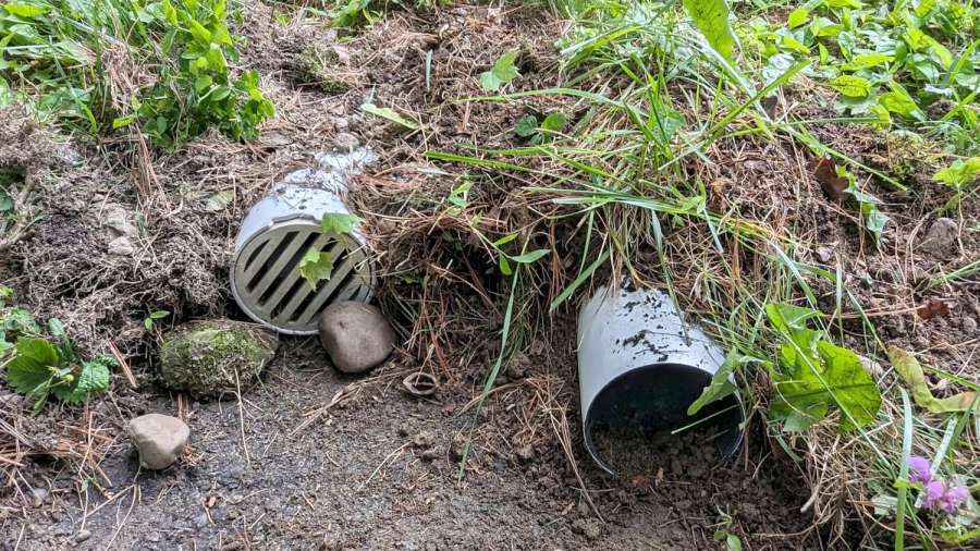 Chipmunk Refuge - site overview
