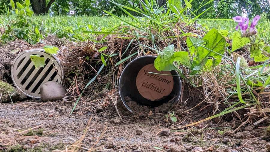 Chipmunk Refuge - installed