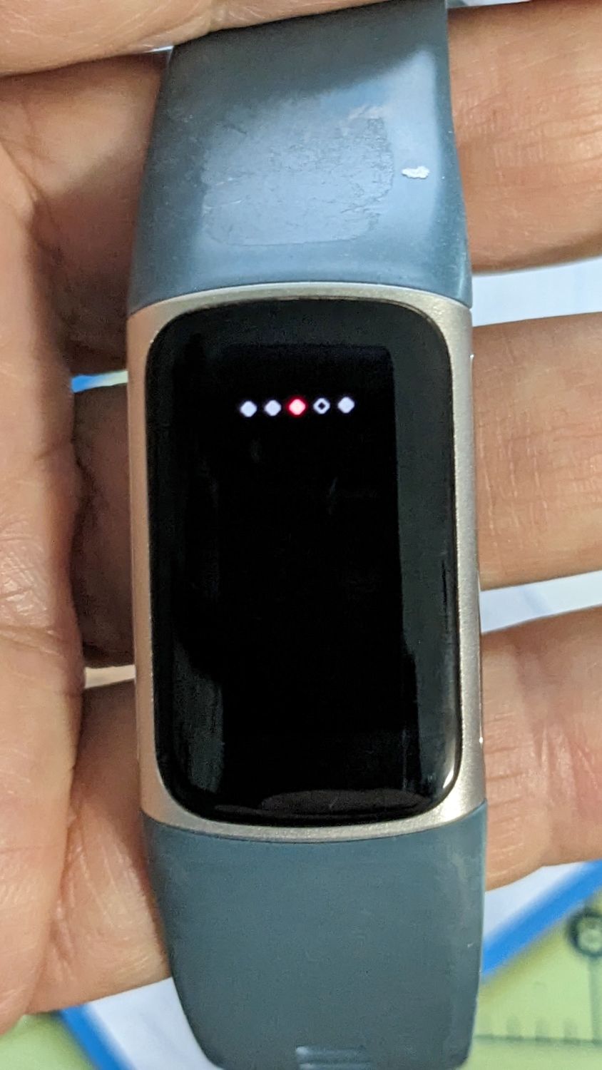 FitBit Charge 5&nbsp;Reboot