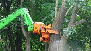 Tree Work: Merlo Roto with Treecracker