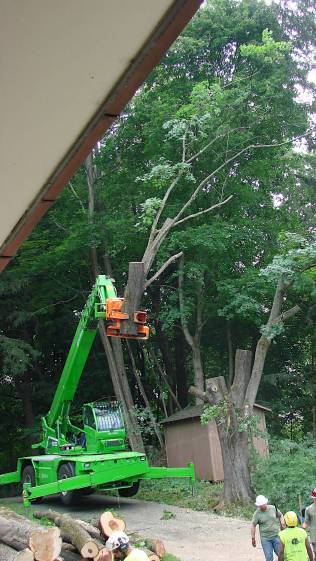 Tree Work - Merlo Woodcracker - cut lift