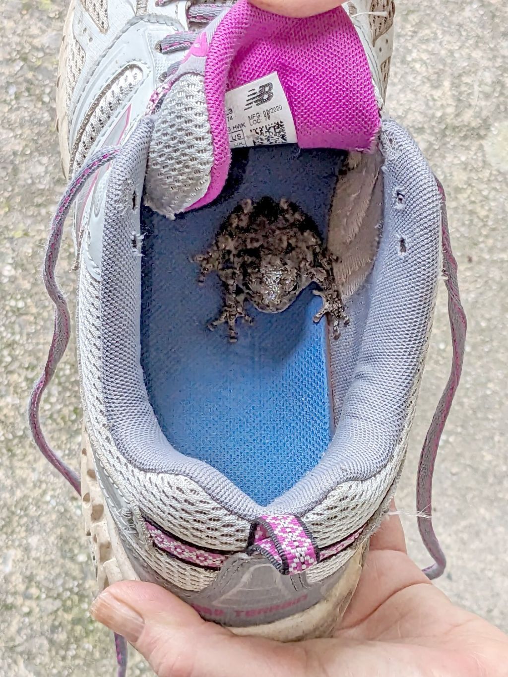 If the Shoe&nbsp;Fits