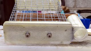 Onion Maggot Fly Sticky Trap Repair