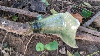 The Patience of Trees: Root Jug