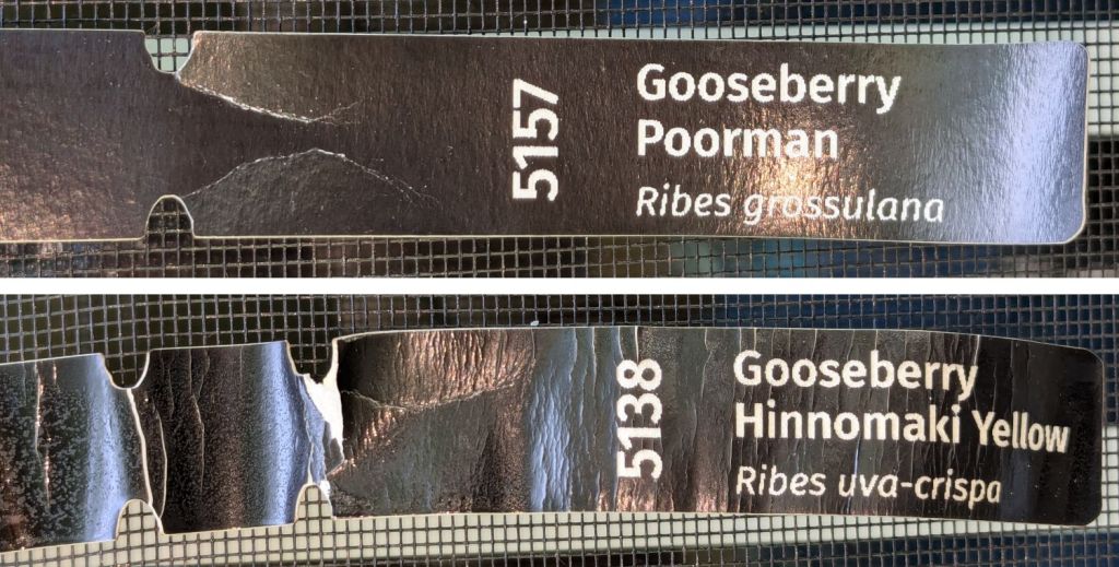 Laser Test Paper: Outdoor&nbsp;Testing