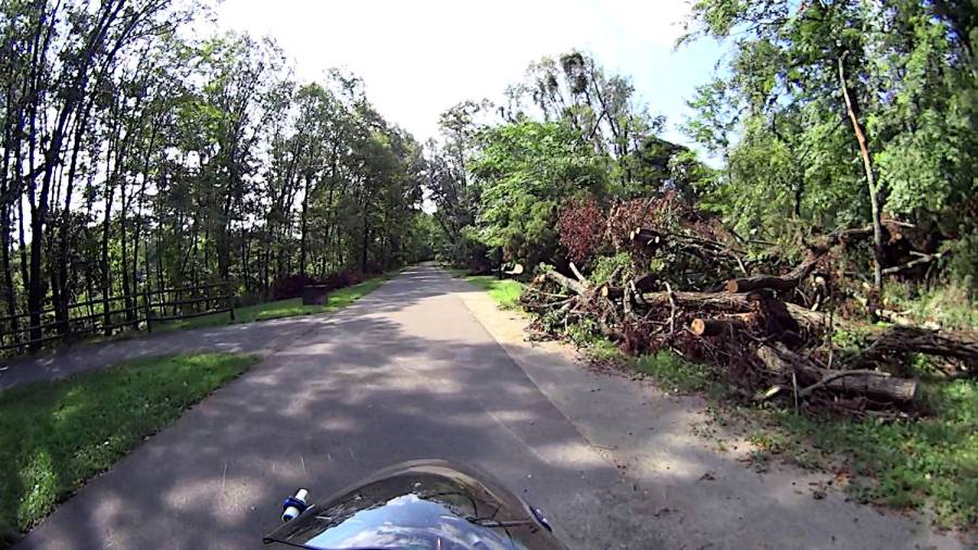 Brush clearing D - 2024-07-14