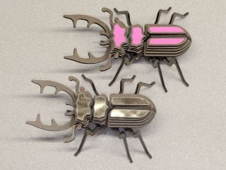 Slotted Beetles